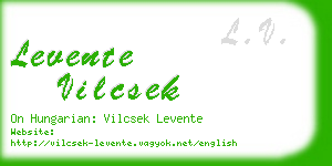 levente vilcsek business card